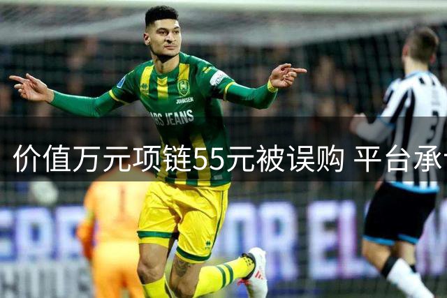 价值万元项链55元被误购 平台承认系统故障致价格异常